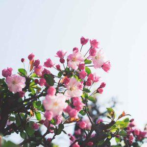 Untitled-2