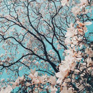 Untitled-3