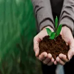 رویشیار؛ رشد بیشتر 20 environmental conservation plant sustainability 2
