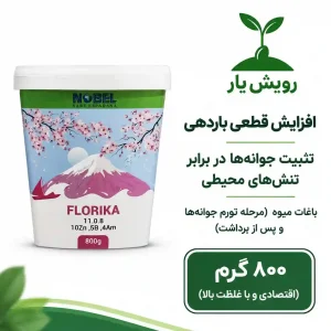 نوبل فروت ست رویش یار