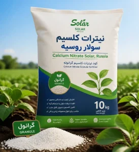 سولار روسیه-رویش یار