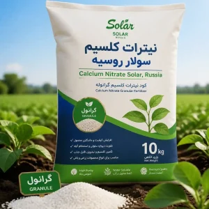 سولار روسیه-رویش یار