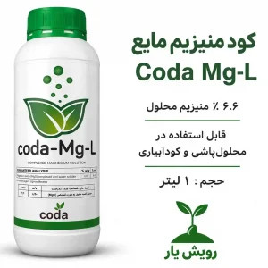 منیزیم کدا