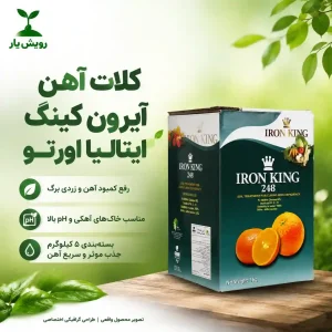 کلات اهن ایرون گینگ ایتالیا-رویش یار