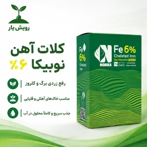 کلات اهن نوبیکا