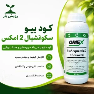 کود بیوسکشنال 2 امکس