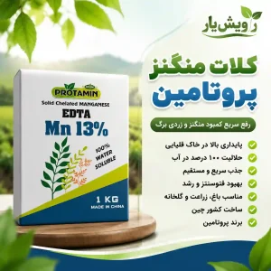 کلات منگز پروتامین