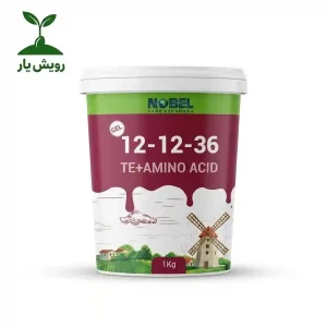 121236نوبل ژله ای یک کیلویی1