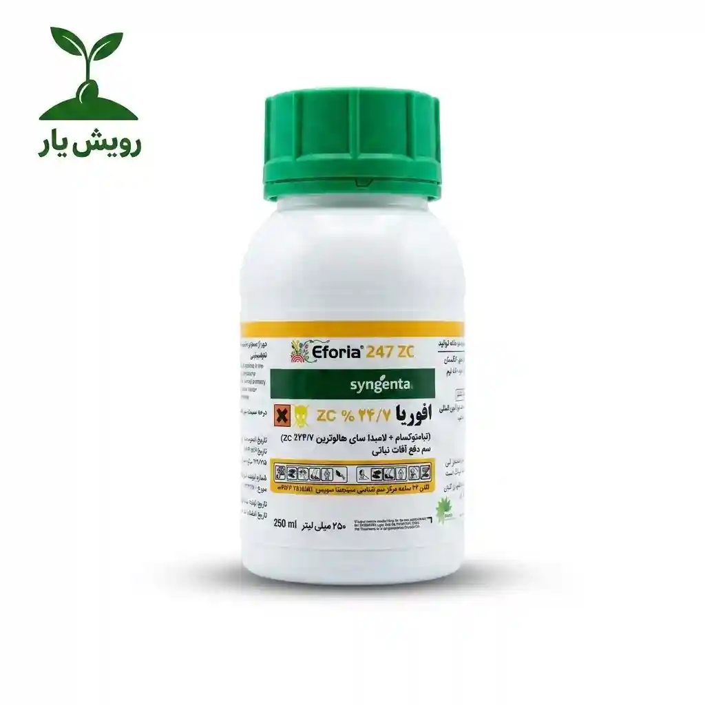 افوریا سینجنتا_compressed افوریا سینجنتا