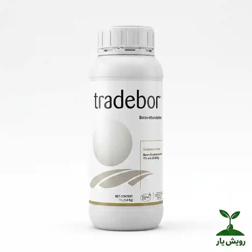 ترید بر1_compressed ترید بر