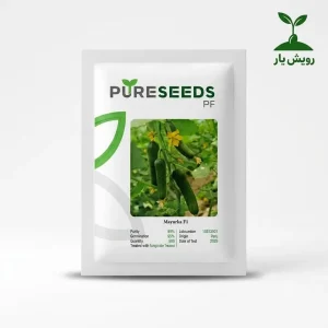 بذر خیار مینی گلخانه1